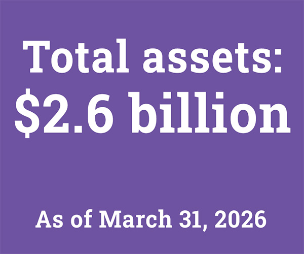 Total assets 2.6 million dollars