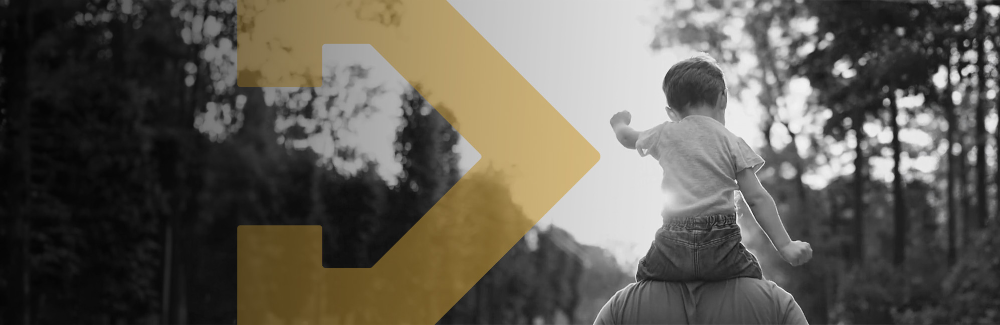 immigrant neighbors banner v3