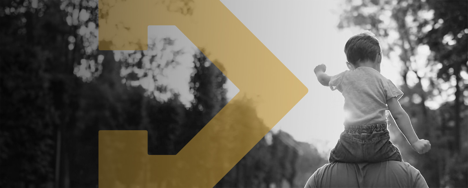 Immigrant Neighbors Banner v2