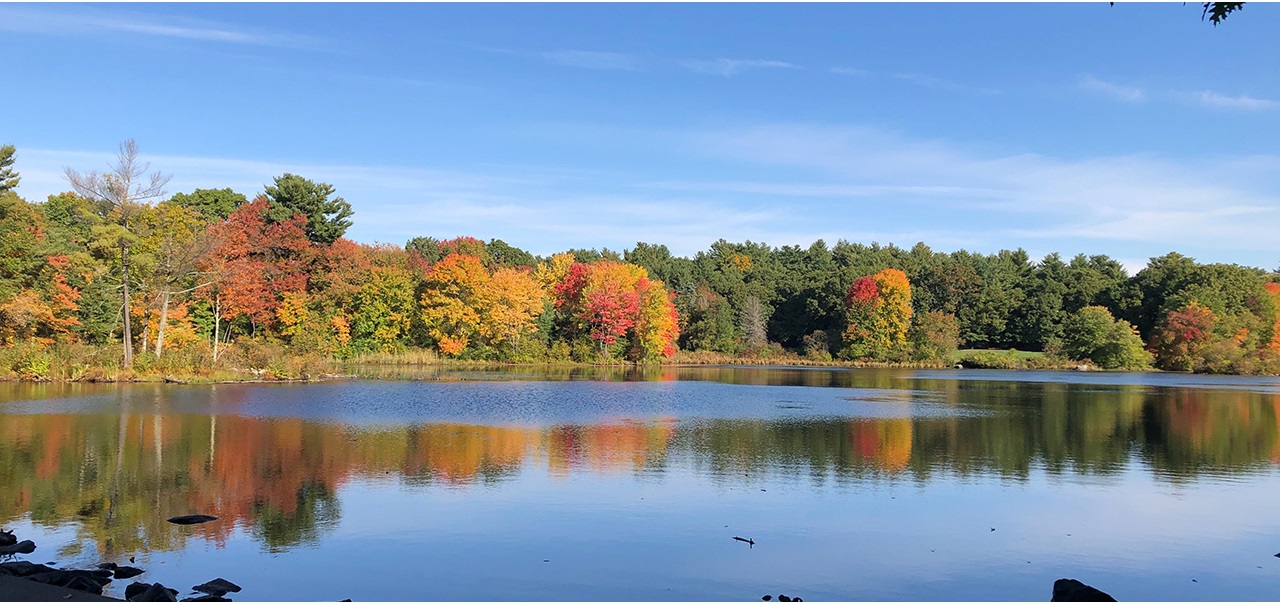 A photo looking out on a lake in the fall, the trees along the shore have colorful green, yellow, and orange leaves