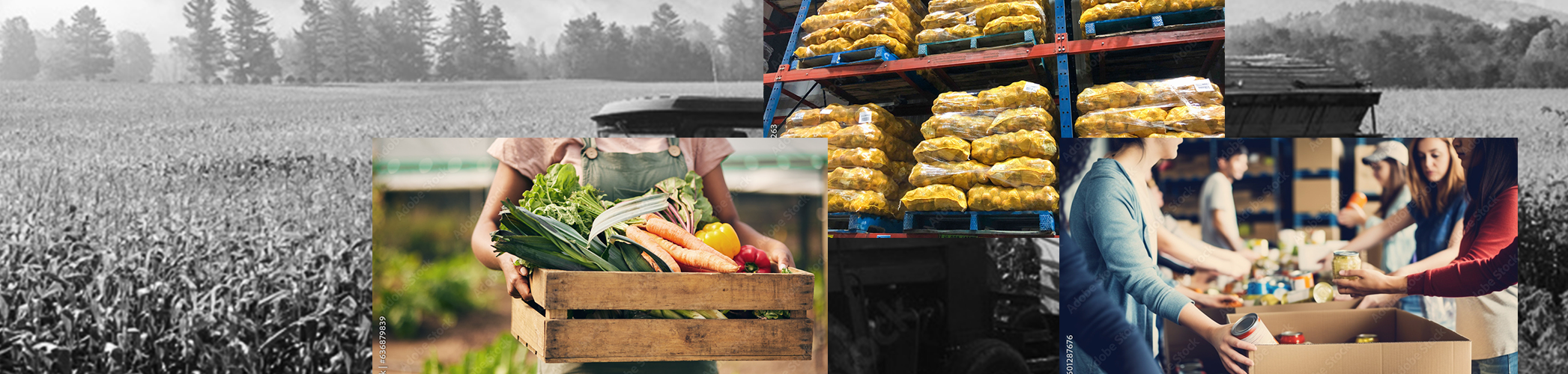 Sustaining Families Banner