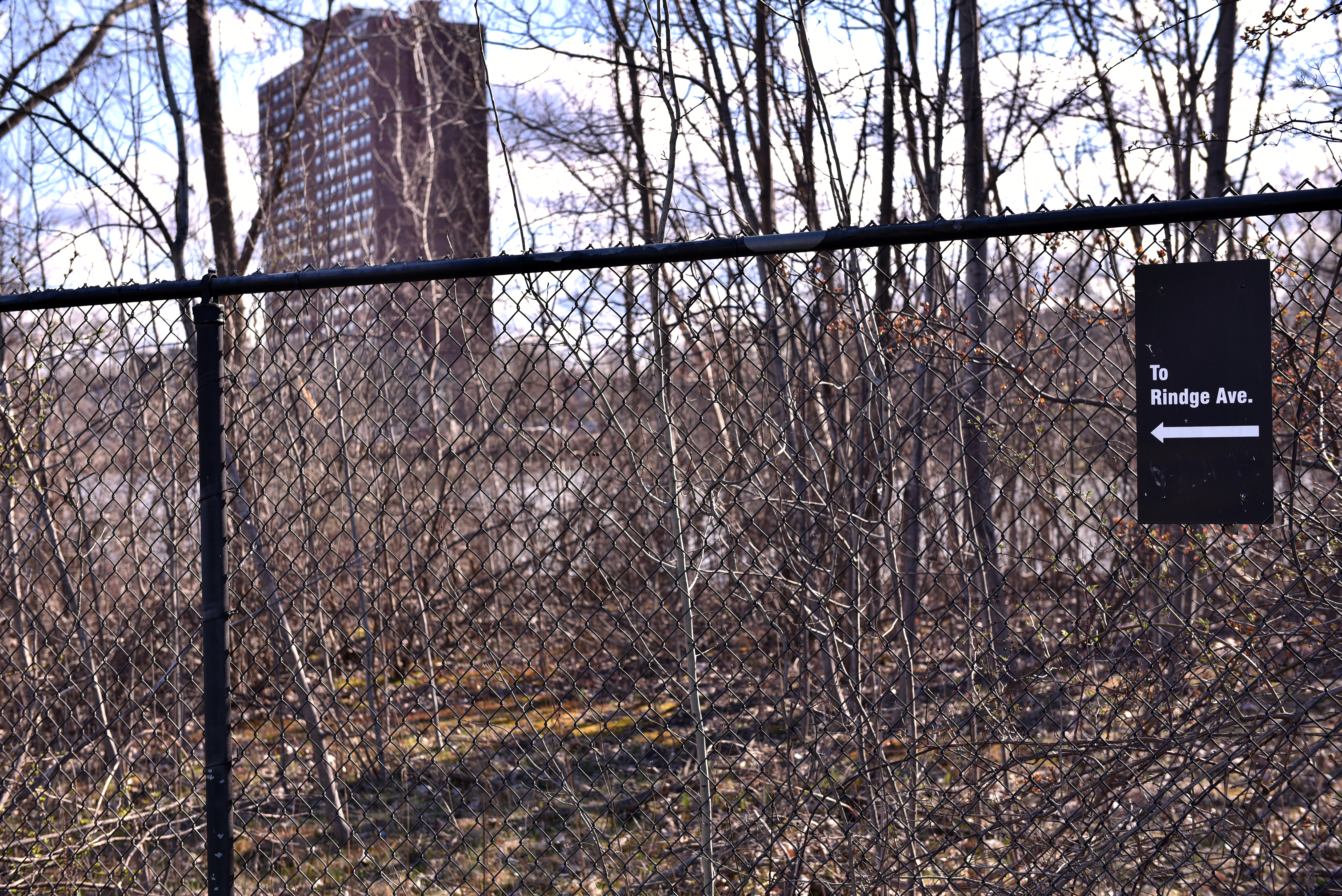 Chain-link fence in front of pond and scrub, sign says To Rindge Avenue. High rise apartments in distance.