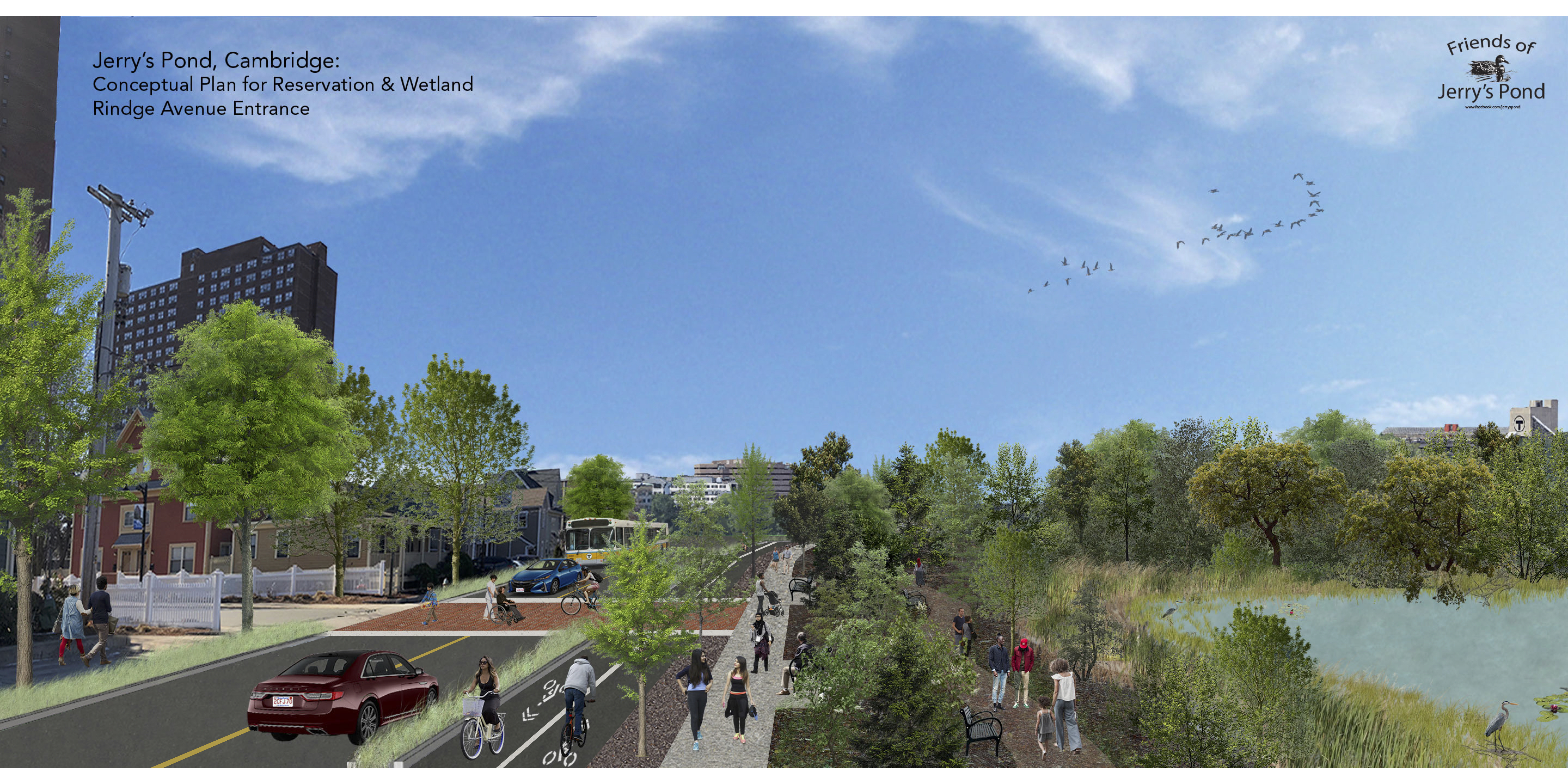 Architectural rendering of Jerry's Pond showing naturalized wetland shore, people enjoying protected bike lane, and green space along the road.