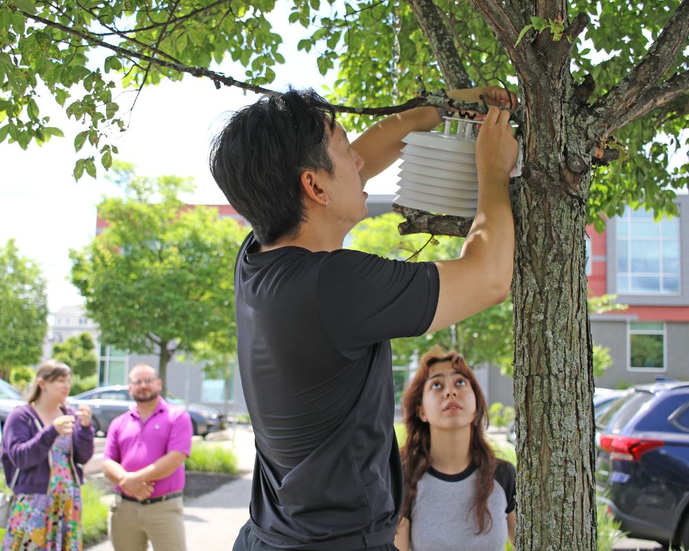 A man hangs a sensor in a tree