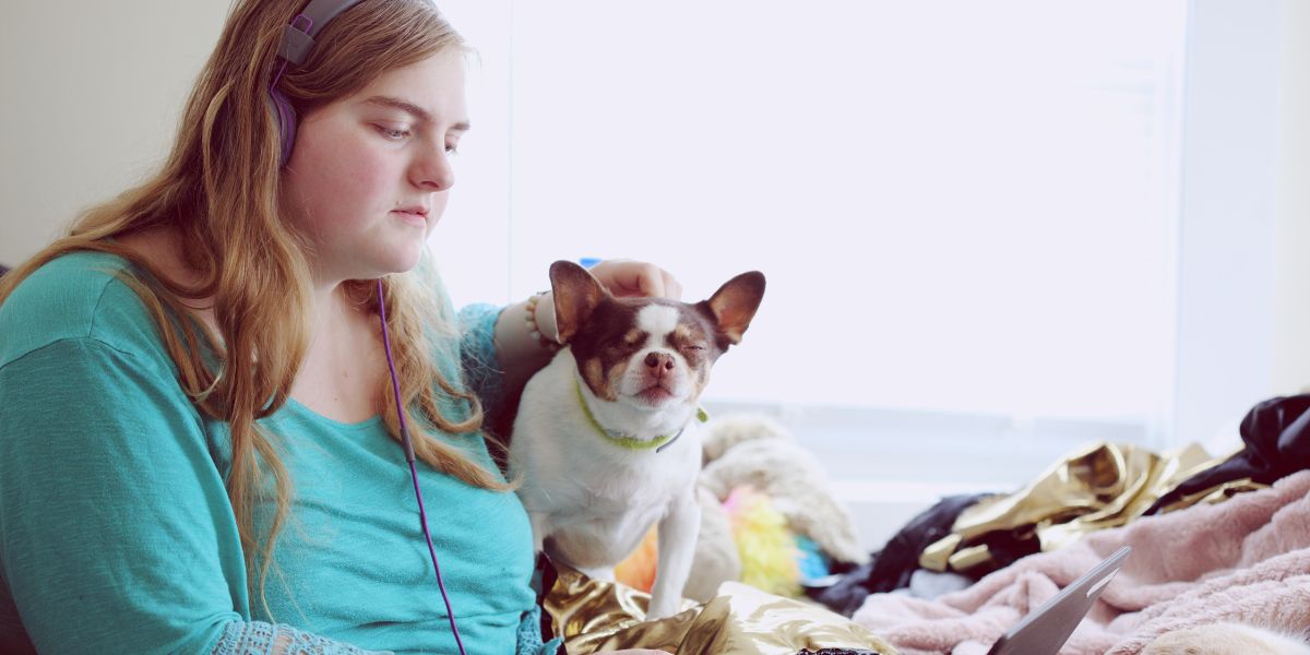 A person wearing a turquoise long-sleeve shirt and headphones sits cross-legged on a bed, using a laptop while gently petting a small white and brown dog beside them. The bed is covered with gold-colored fabric and blankets, and natural light streams in through a large window in the background, creating a cozy, relaxed atmosphere.