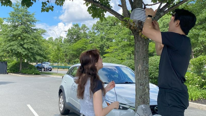 In a parking lot. two people examine a heat sensor in a tree as part of the pilot program
