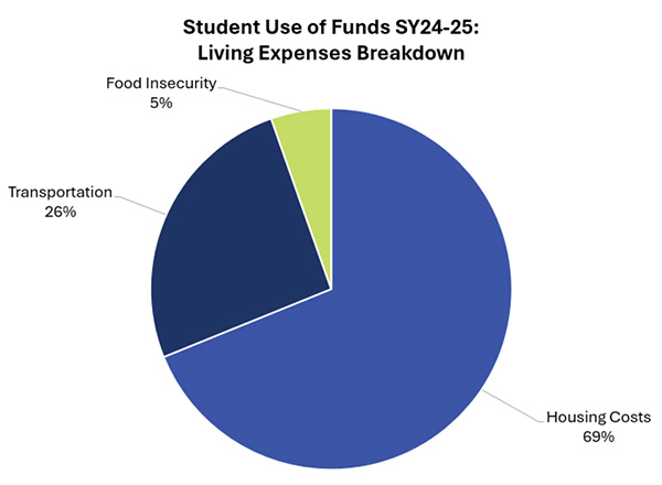 student living expenses chart