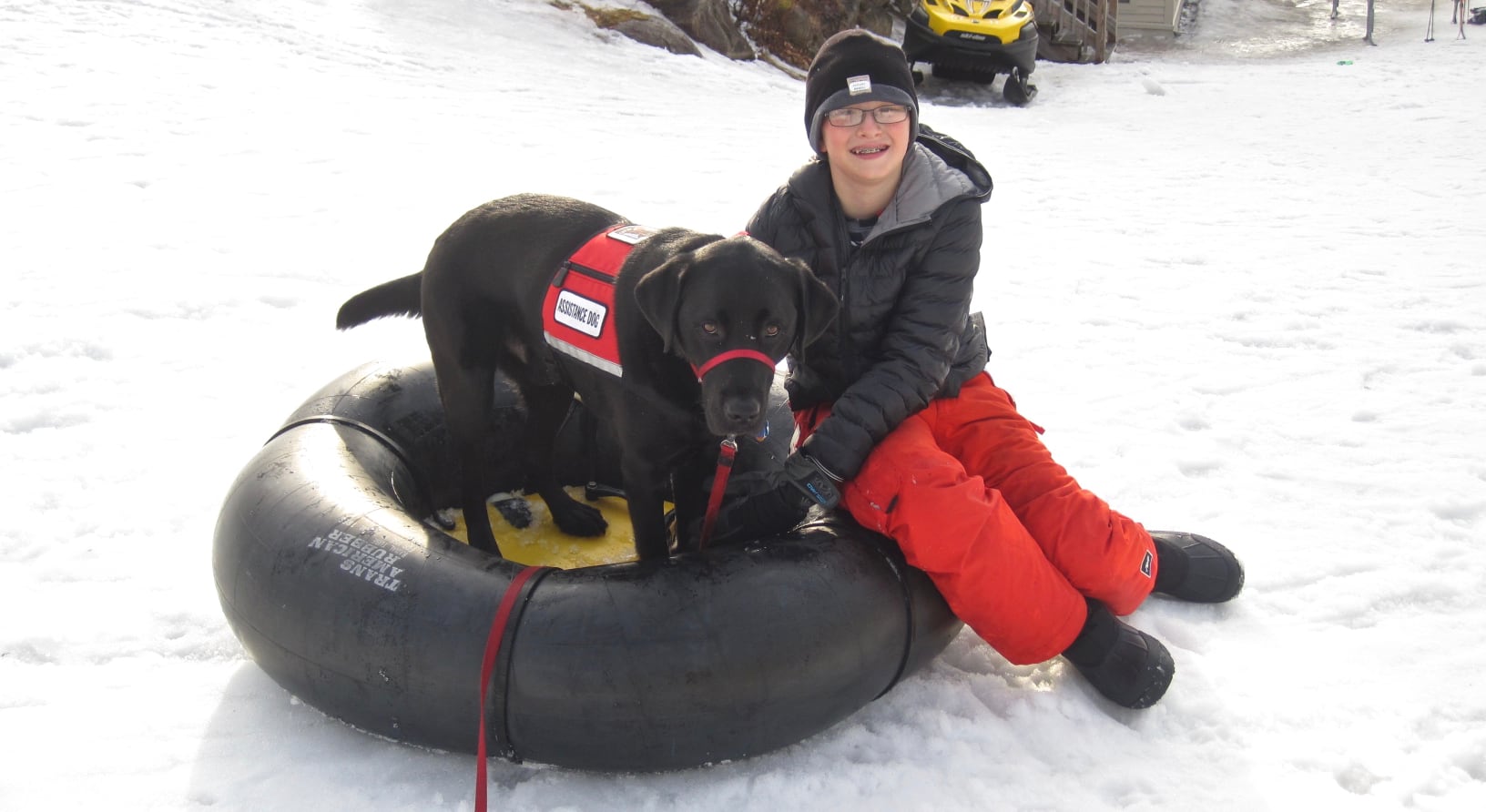 Therapeutic dog photo