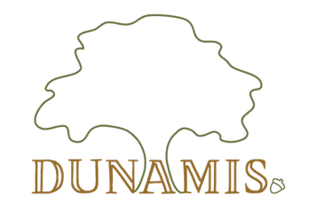 Dunamis logo