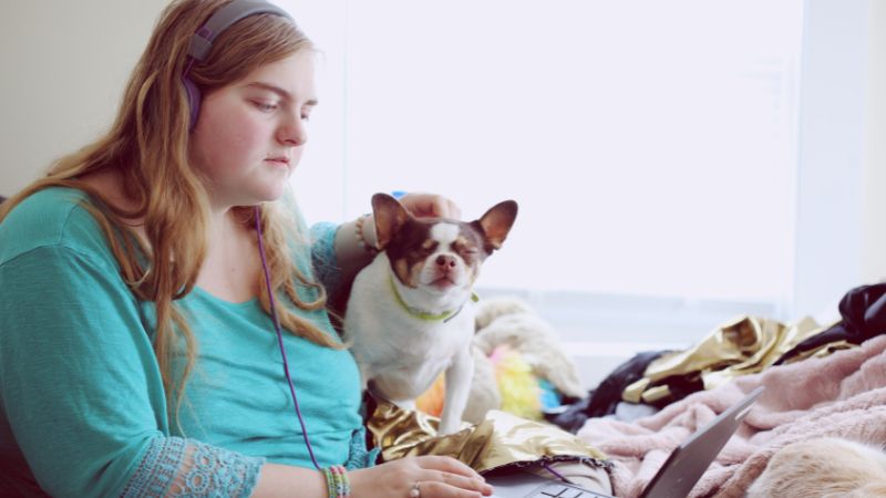 A person wearing a turquoise long-sleeve shirt and headphones sits cross-legged on a bed, using a laptop while gently petting a small white and brown dog beside them. The bed is covered with gold-colored fabric and blankets, and natural light streams in through a large window in the background, creating a cozy, relaxed atmosphere.