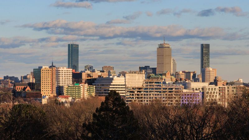 Overlooking Boston in the winter with bare trees in the foreground and Boston buildings in the distance.