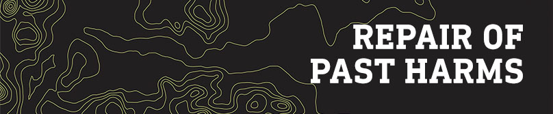 Repair of Past Harms