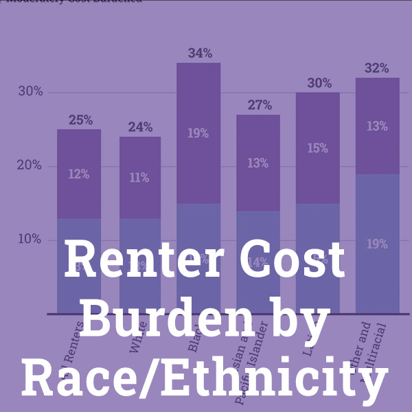Renter Cost Burden header