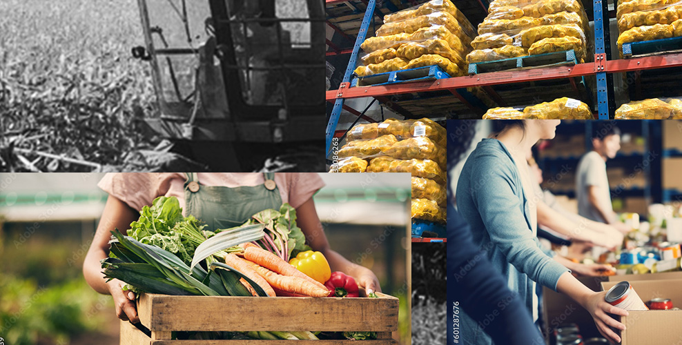 A collage of food distribution system