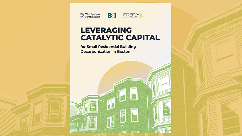 Leveraging Catalytic Capital cover on orange background