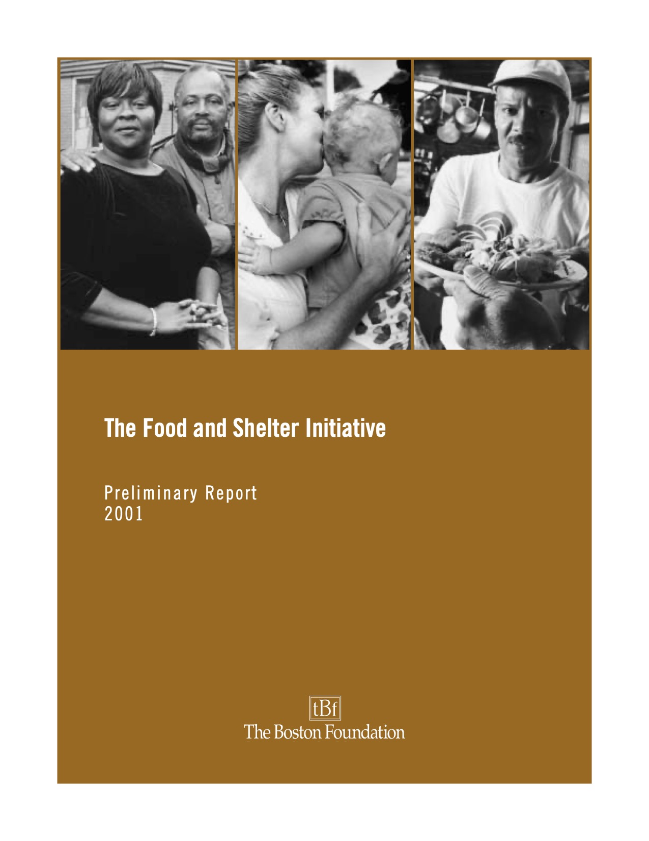 Food and Shelter Prelim Report cover