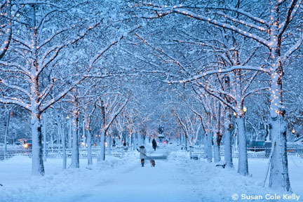 Commonwealth Ave photo